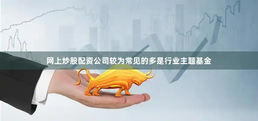 网上炒股配资公司较为常见的多是行业主题基金