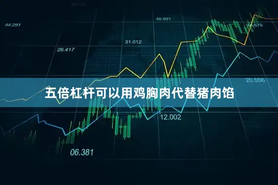 五倍杠杆可以用鸡胸肉代替猪肉馅