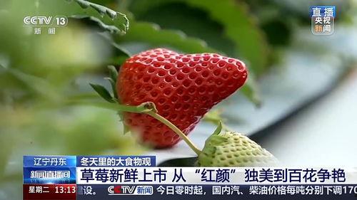 草莓国产视频,探寻本土草莓种植的魅力与风采